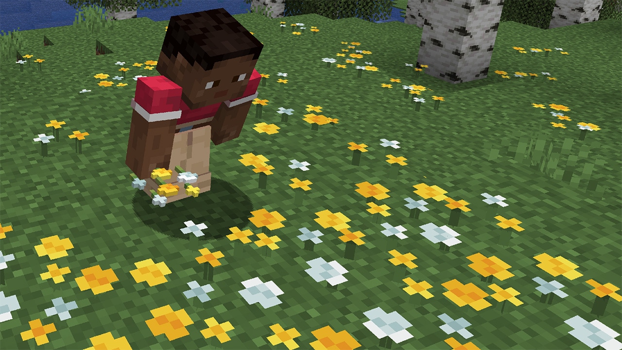 Minecraft Wildblumen